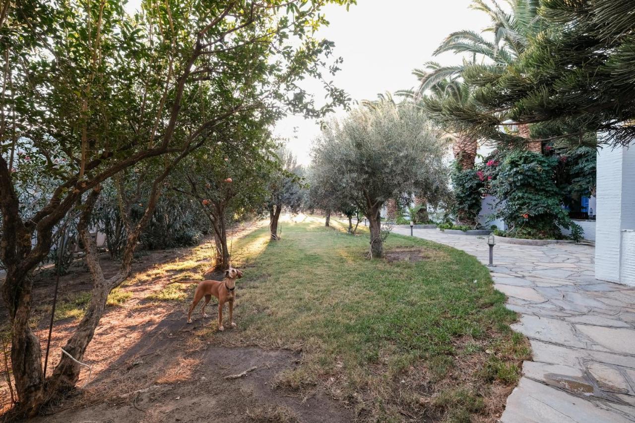 Golden Beach Studios & Suites Tinos Ngoại thất bức ảnh