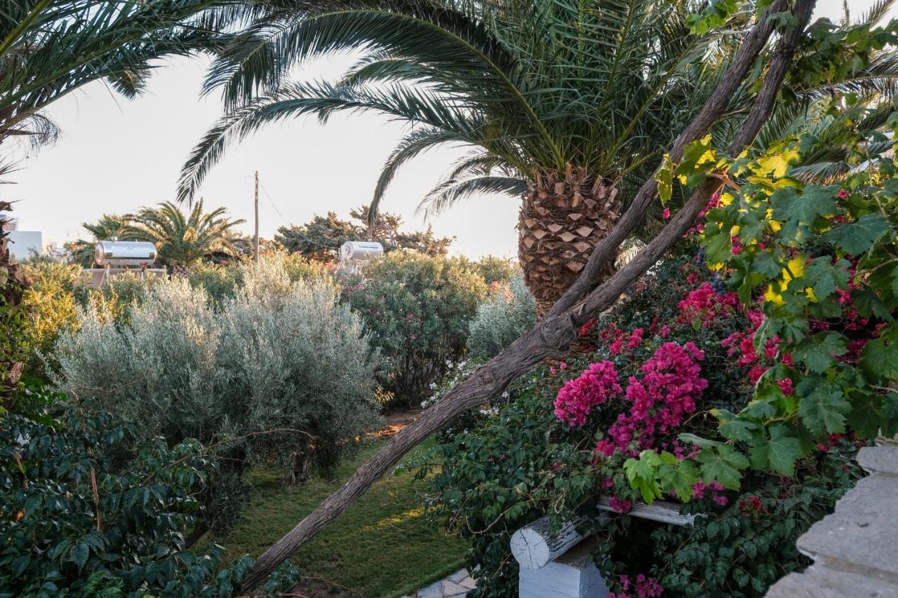 Golden Beach Studios & Suites Tinos Ngoại thất bức ảnh