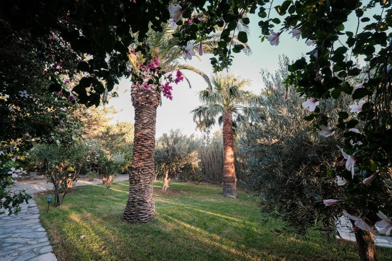Golden Beach Studios & Suites Tinos Ngoại thất bức ảnh